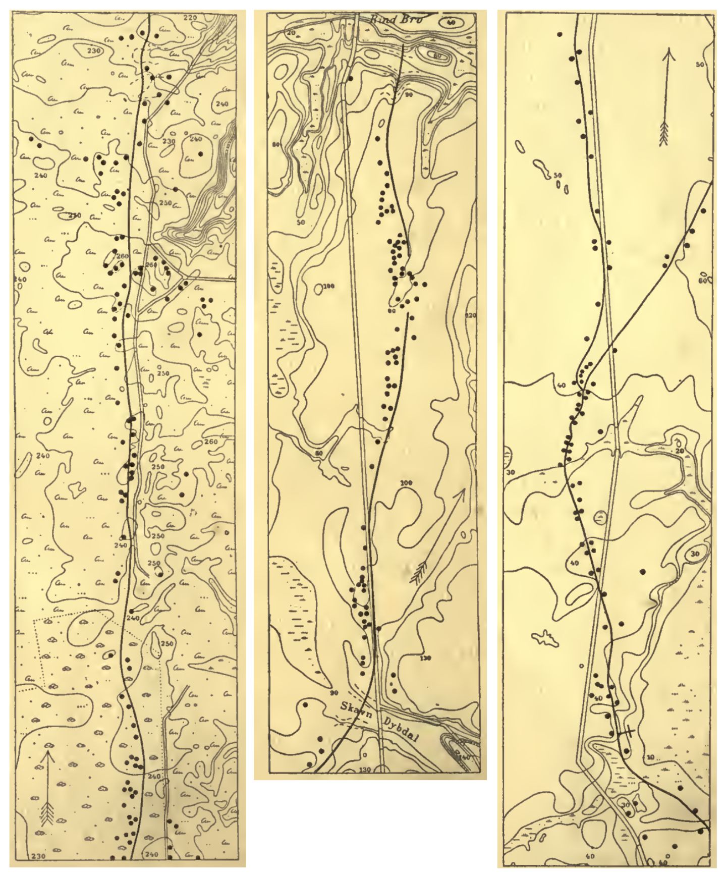 Müller 1904 - paths